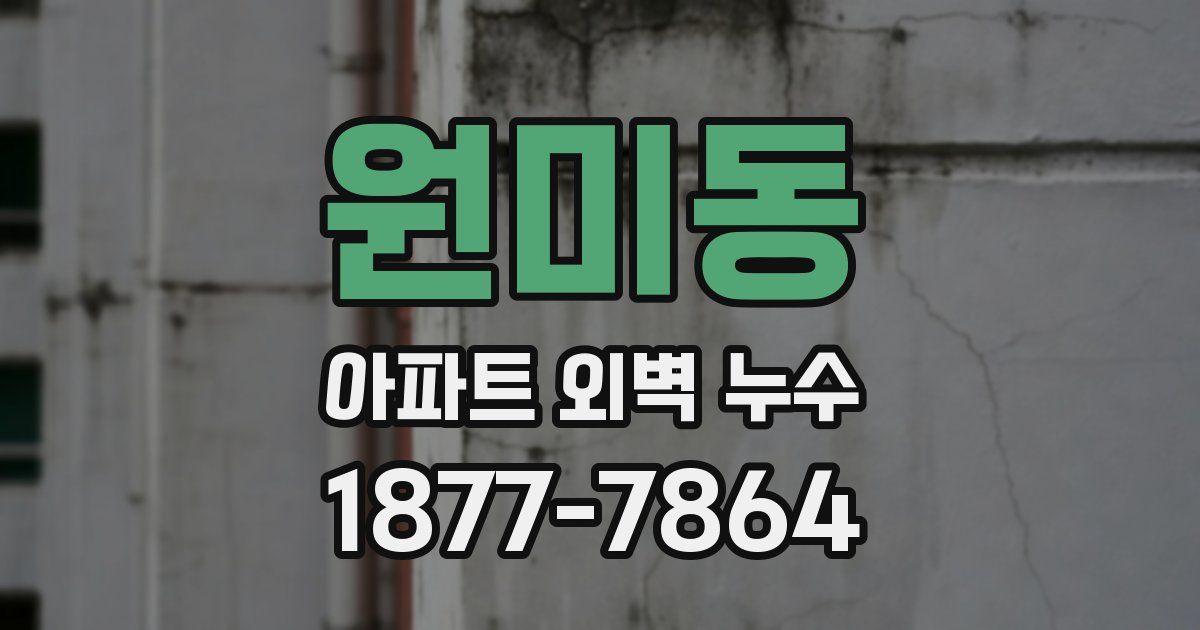 원미동 아파트 외벽 누수