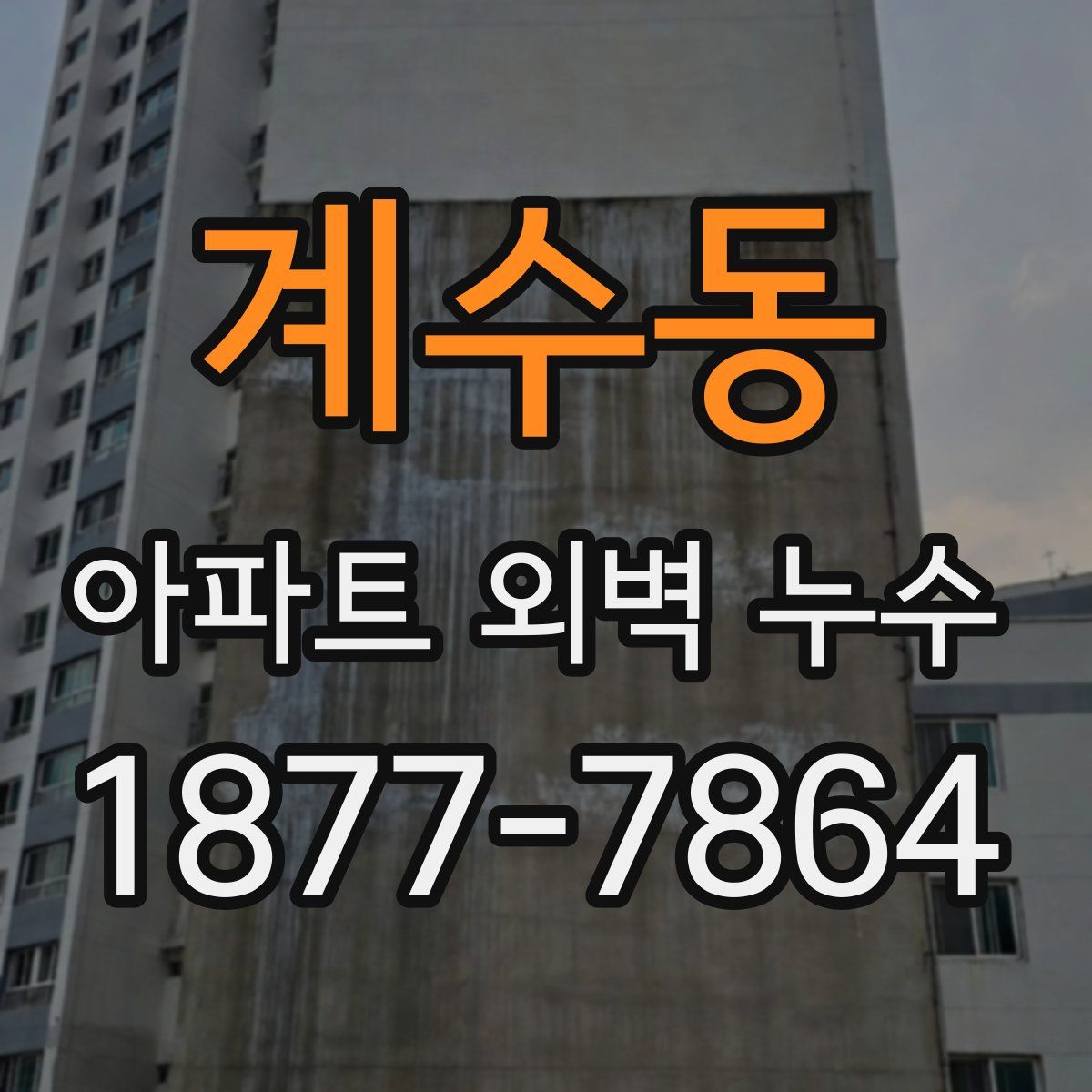 계수동 아파트 외벽 누수
