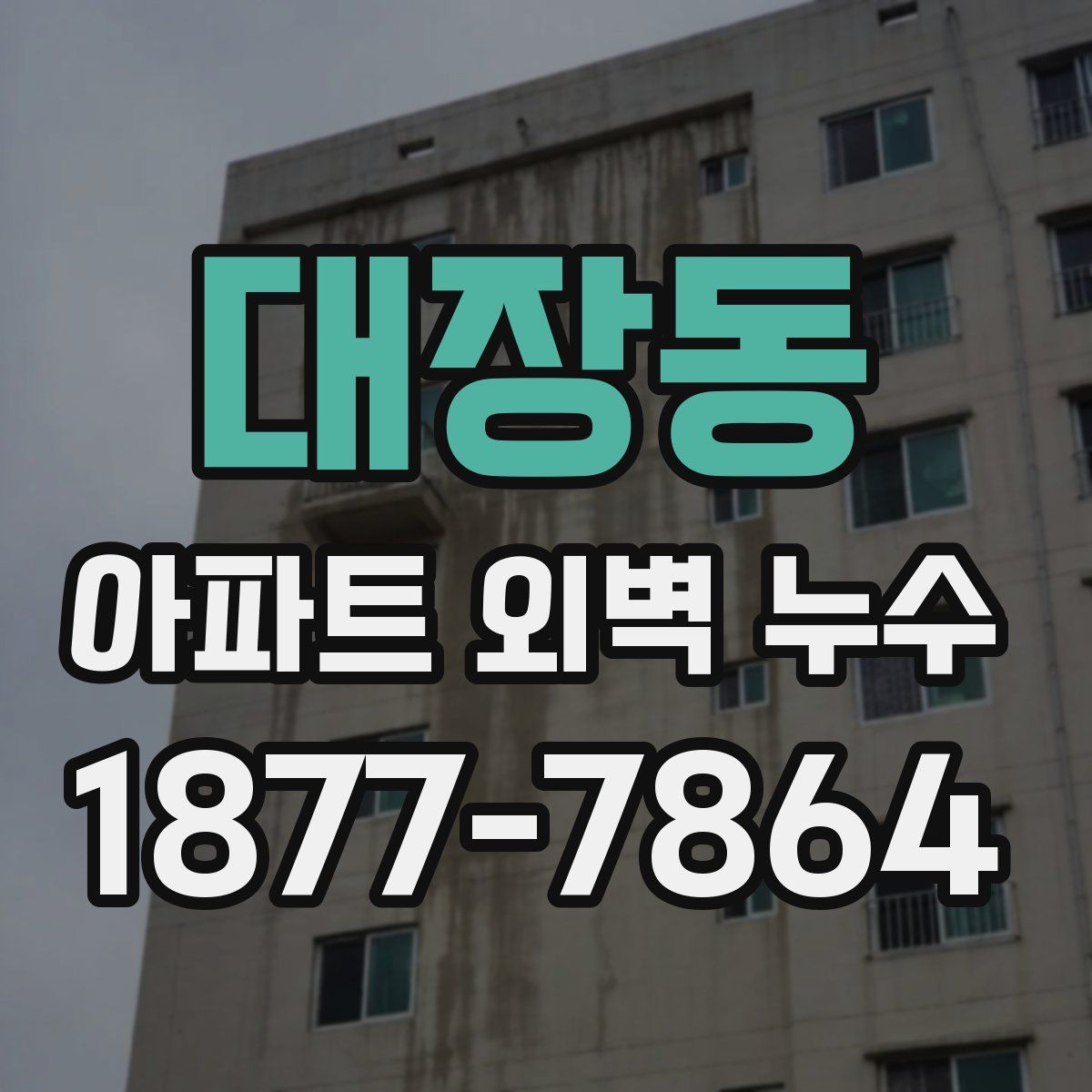 대장동 아파트 외벽 누수