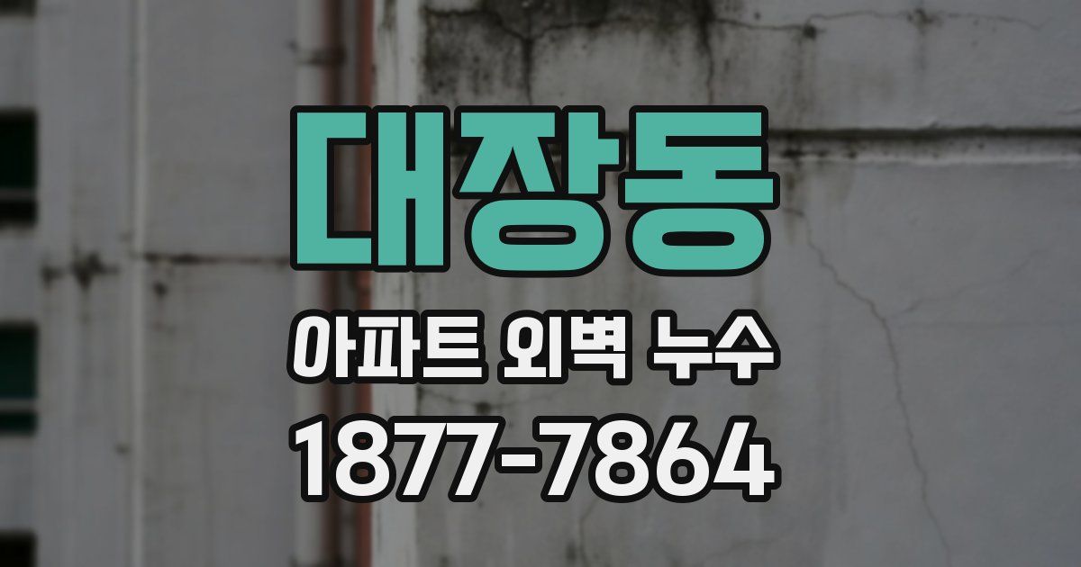 대장동 아파트 외벽 누수