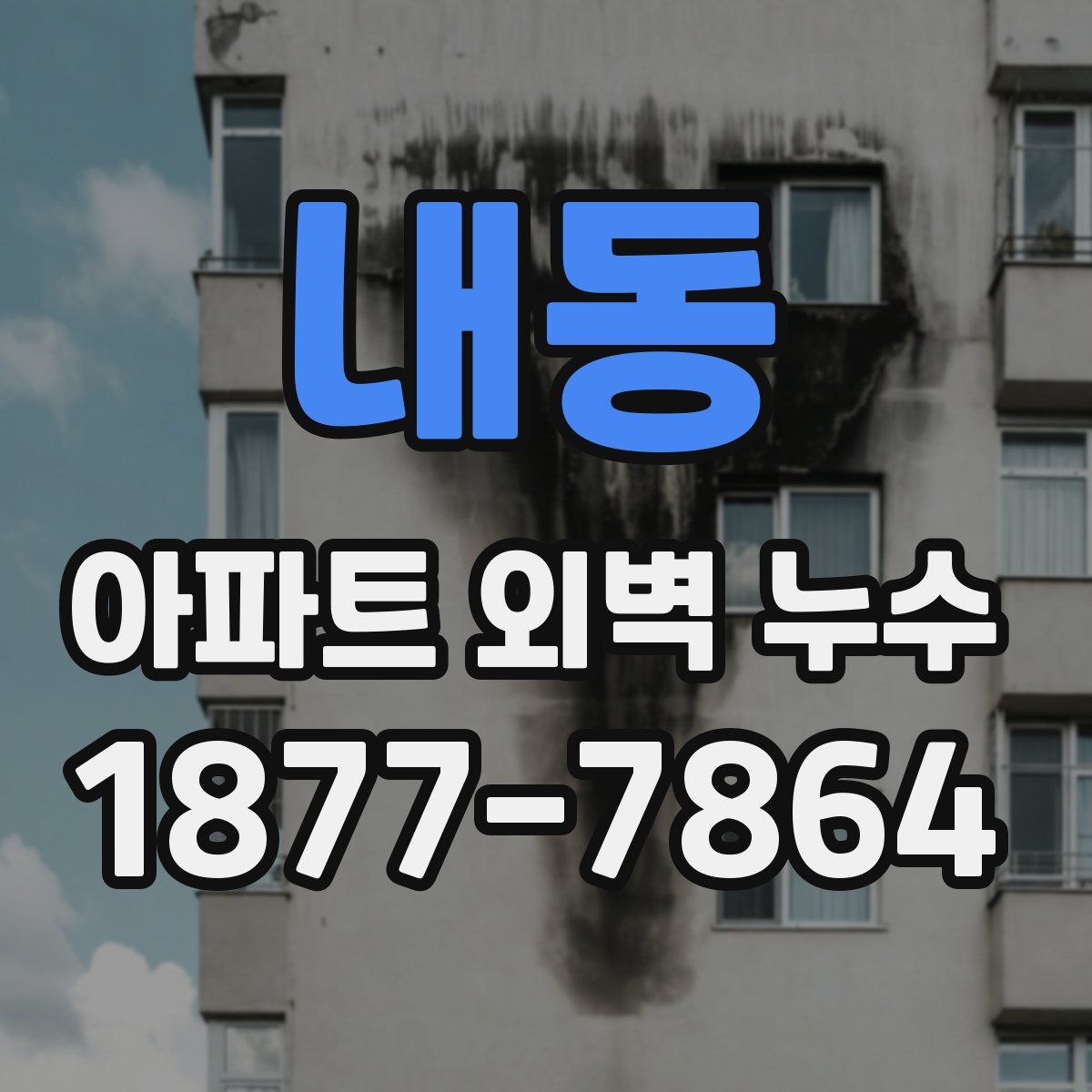 내동 아파트 외벽 누수