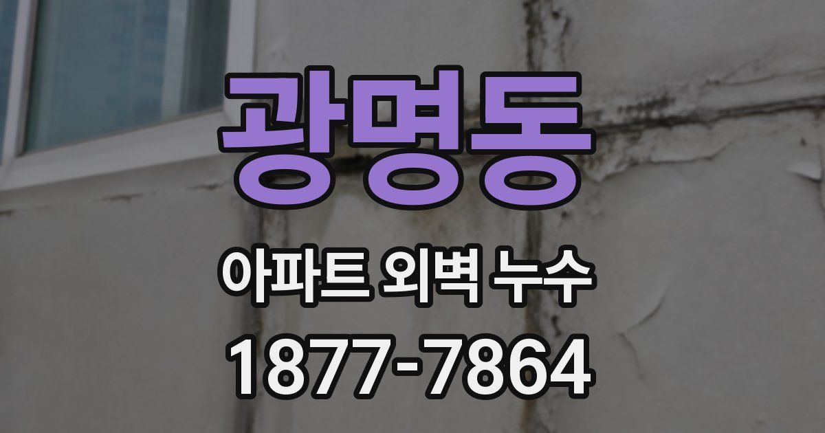 광명동 아파트 외벽 누수