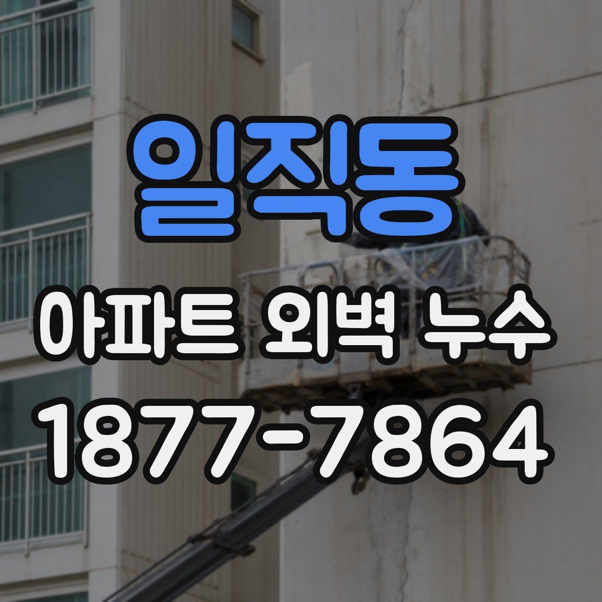 일직동 아파트 외벽 누수 의심되면 먼저 봐야 할 부위