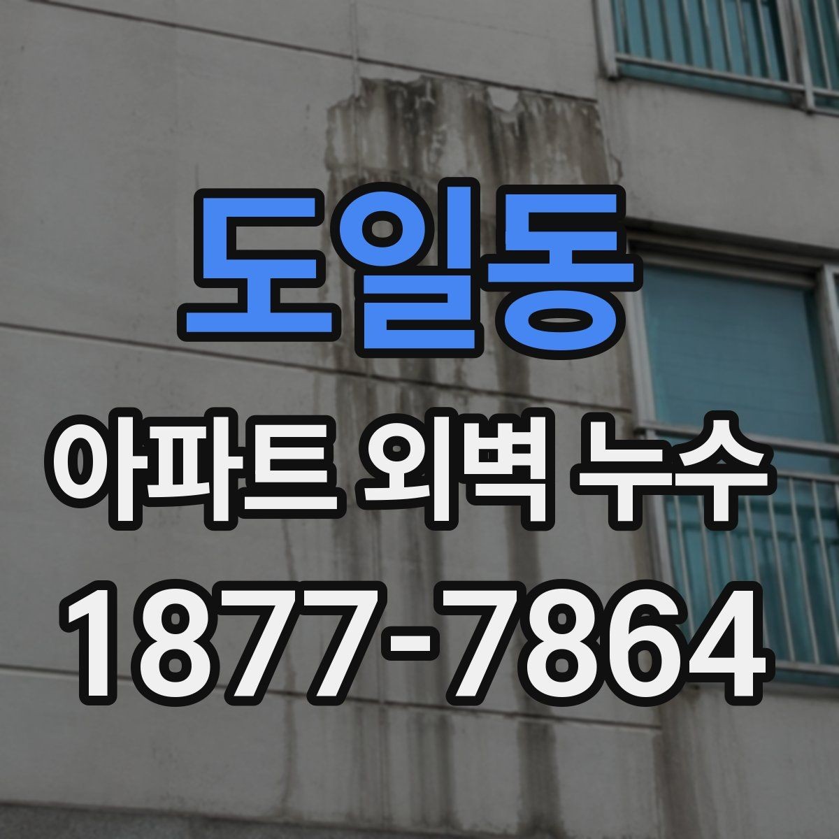 도일동 아파트 외벽 누수 주변 마감재 손상까지 살피기