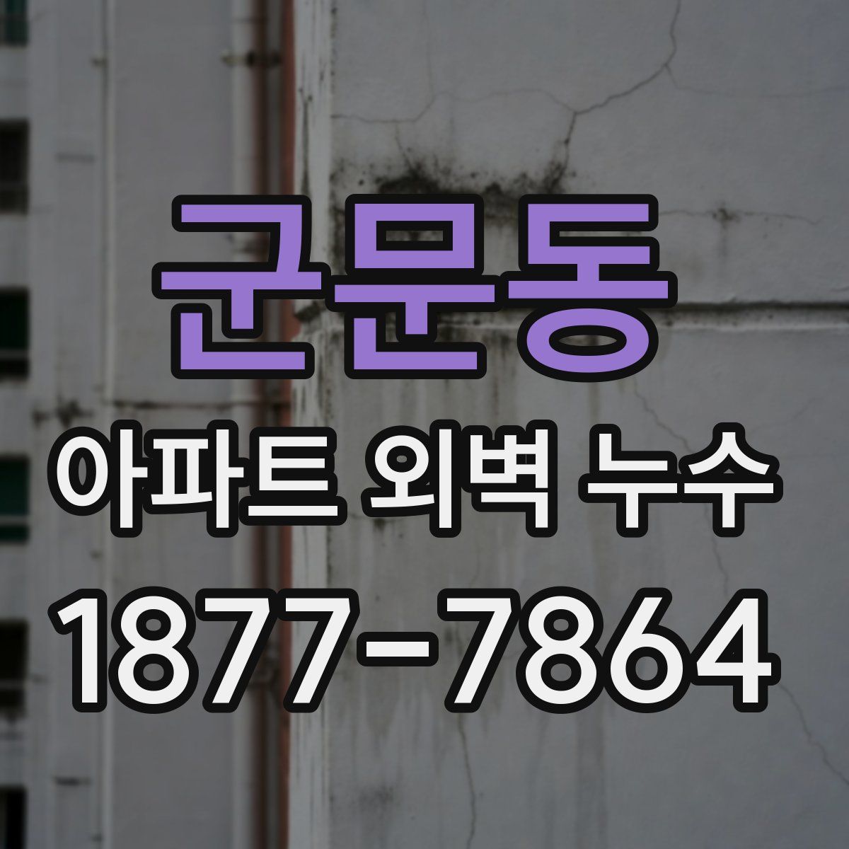 군문동 아파트 외벽 누수