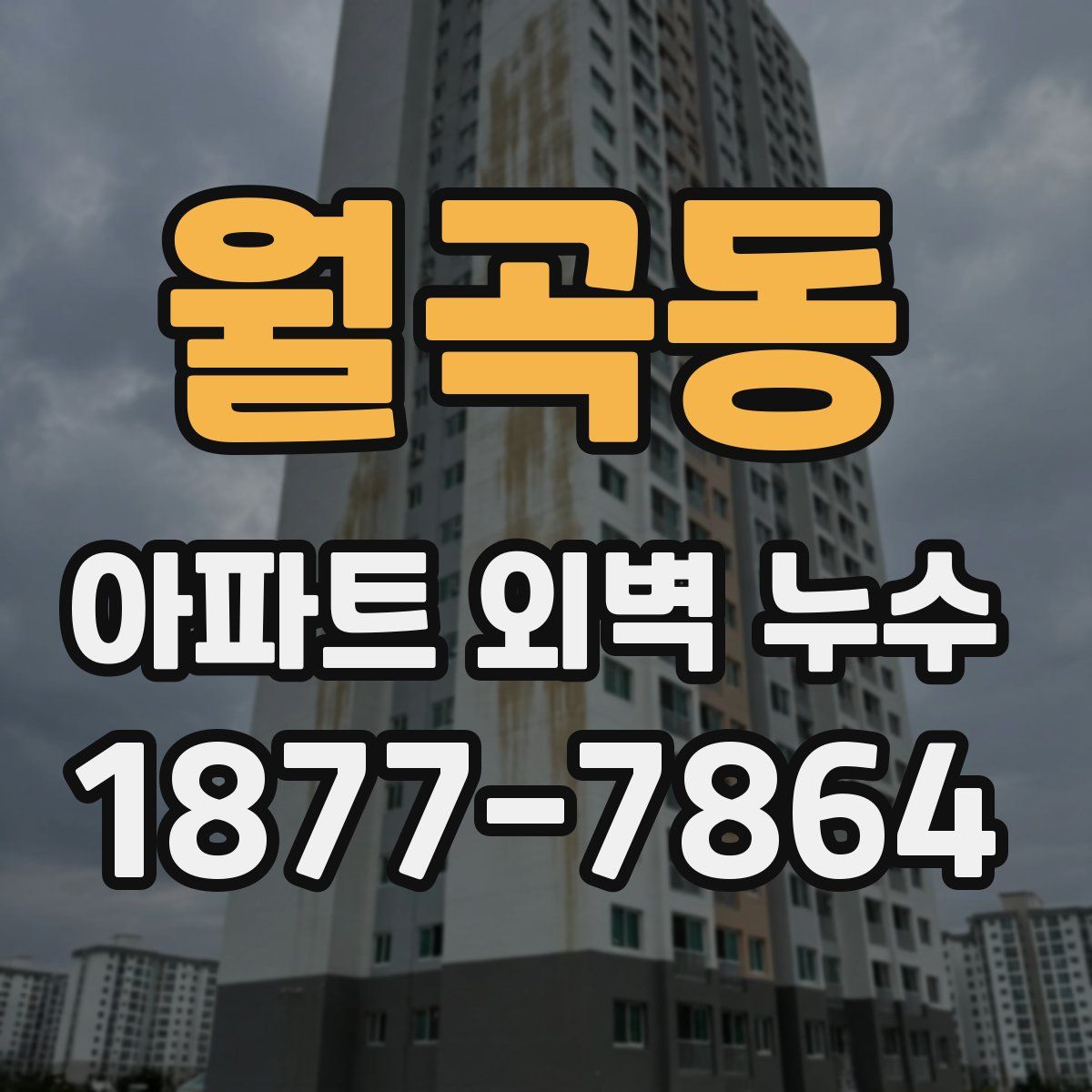 월곡동 아파트 외벽 누수