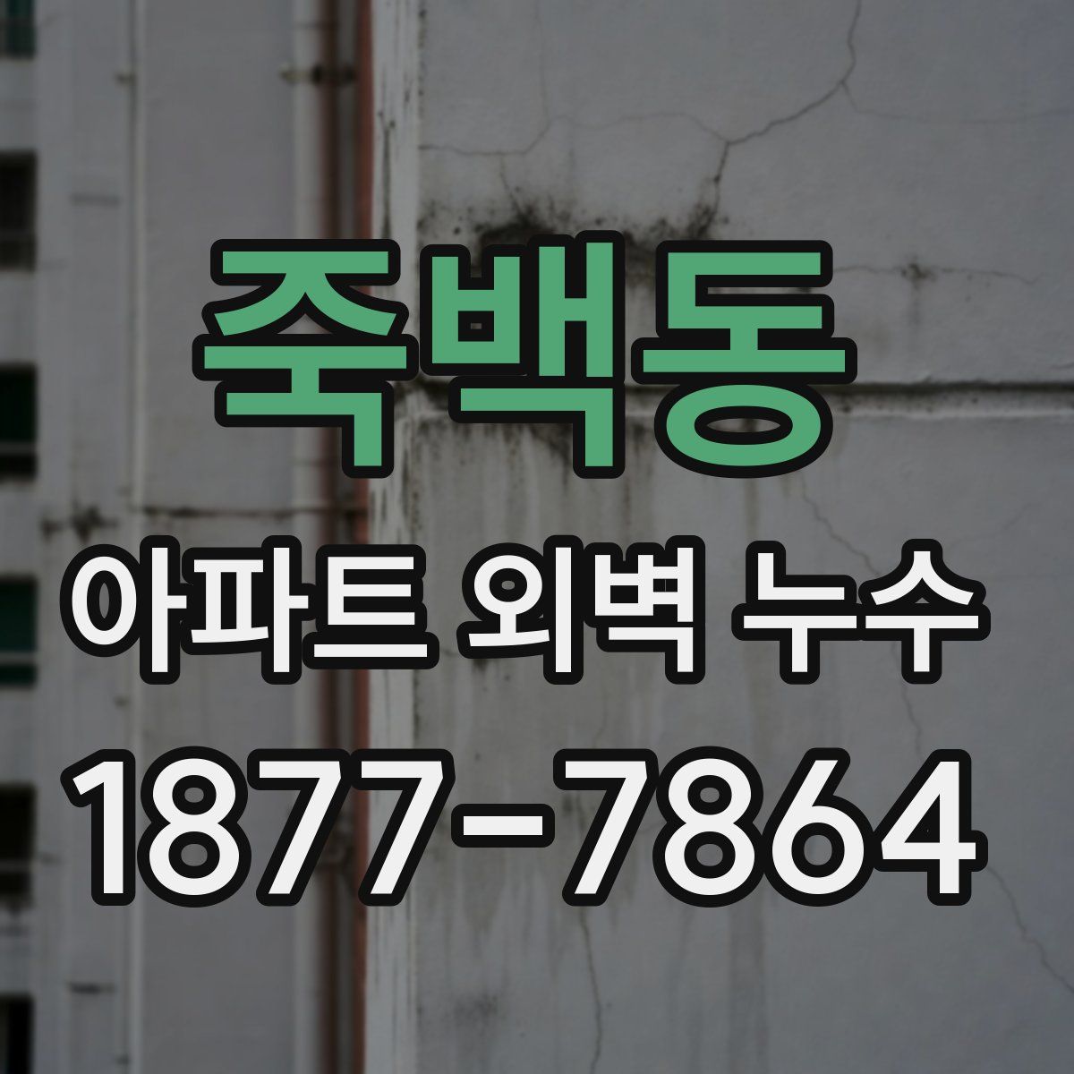 죽백동 아파트 외벽 누수