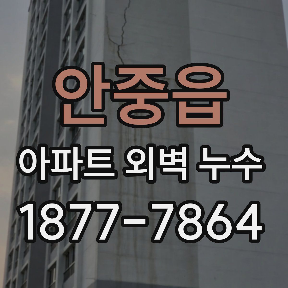 안중읍 아파트 외벽 누수