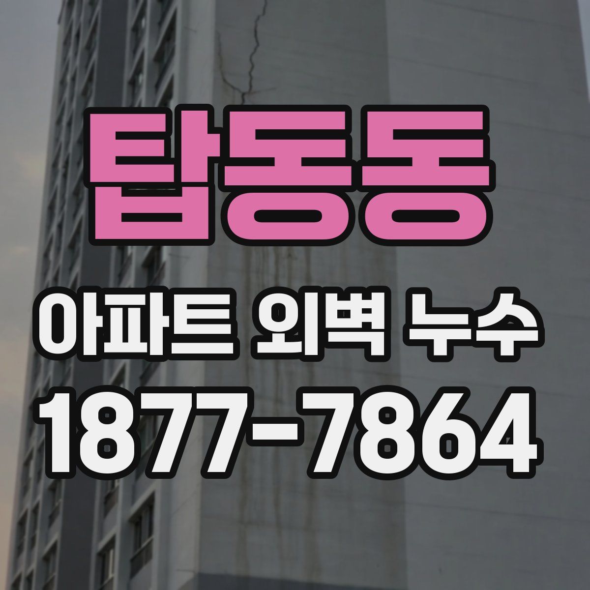 탑동동 아파트 외벽 누수