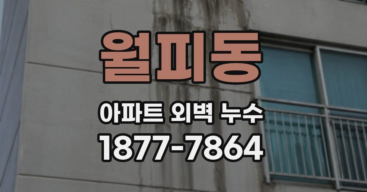 월피동 아파트 외벽 누수