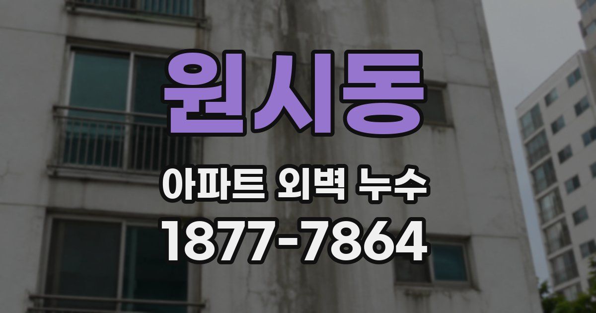 원시동 아파트 외벽 누수
