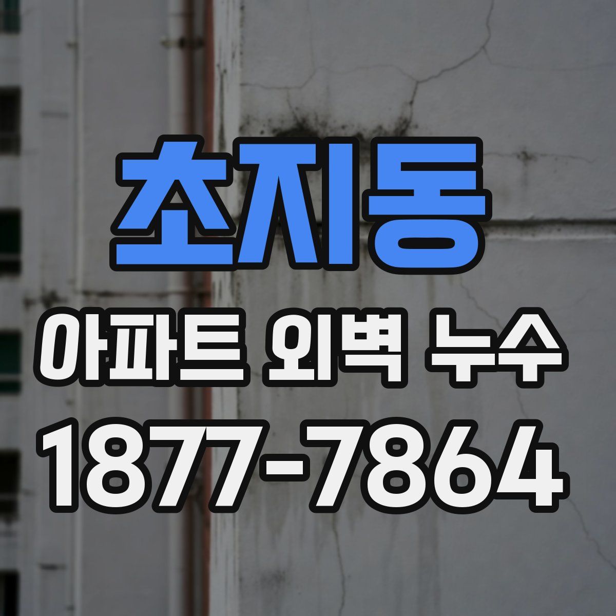 초지동 아파트 외벽 누수