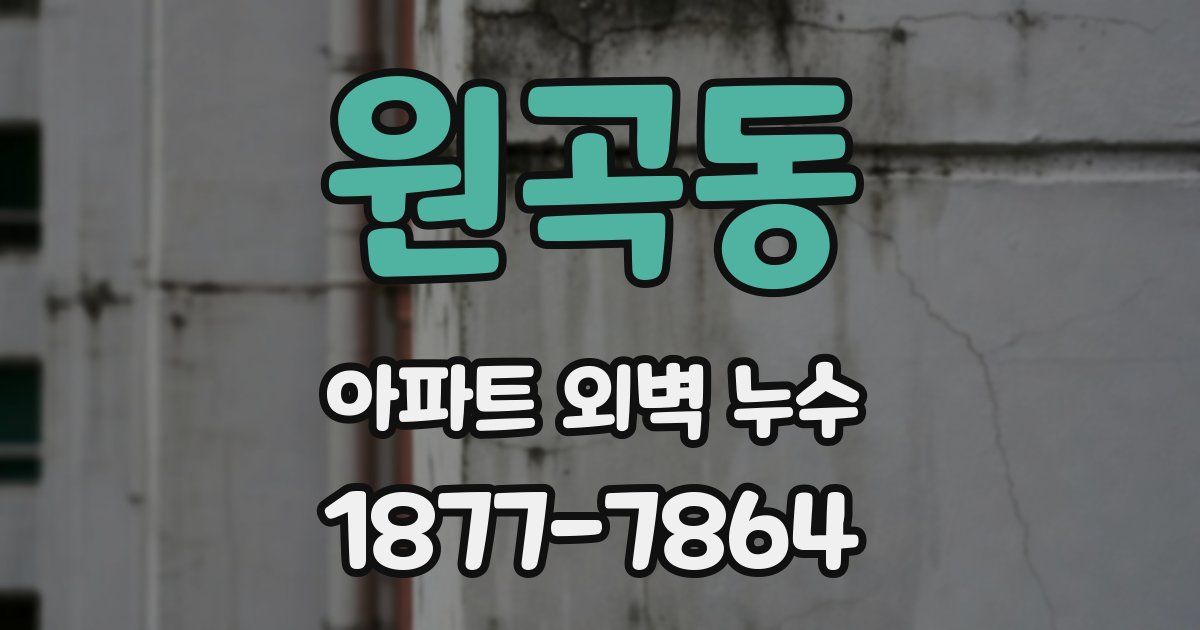 원곡동 아파트 외벽 누수