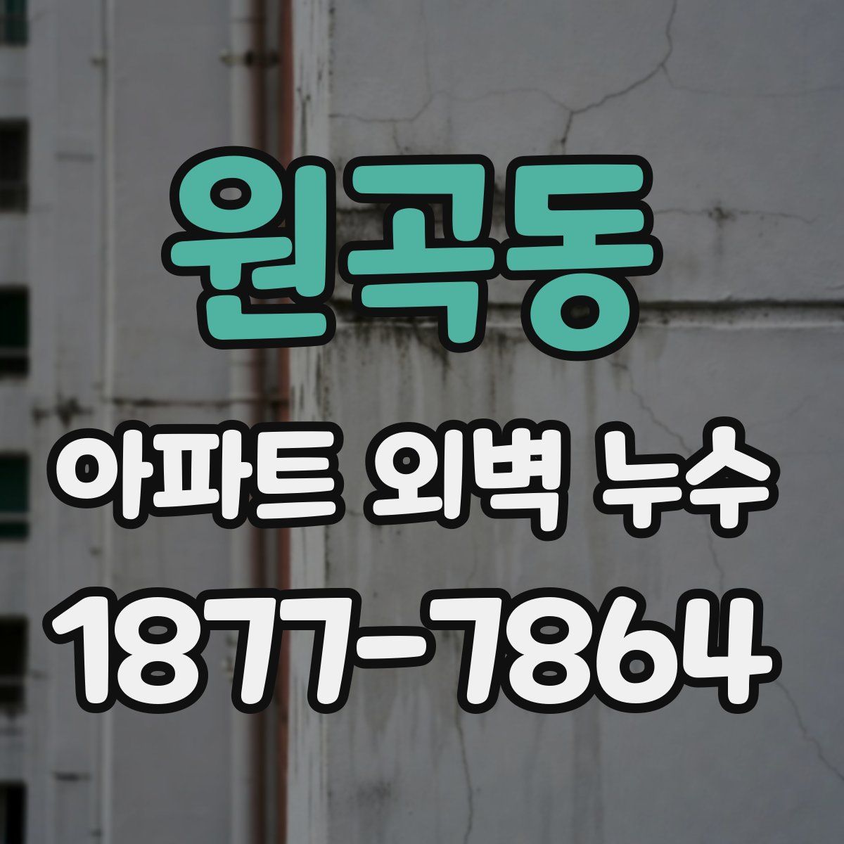 원곡동 아파트 외벽 누수