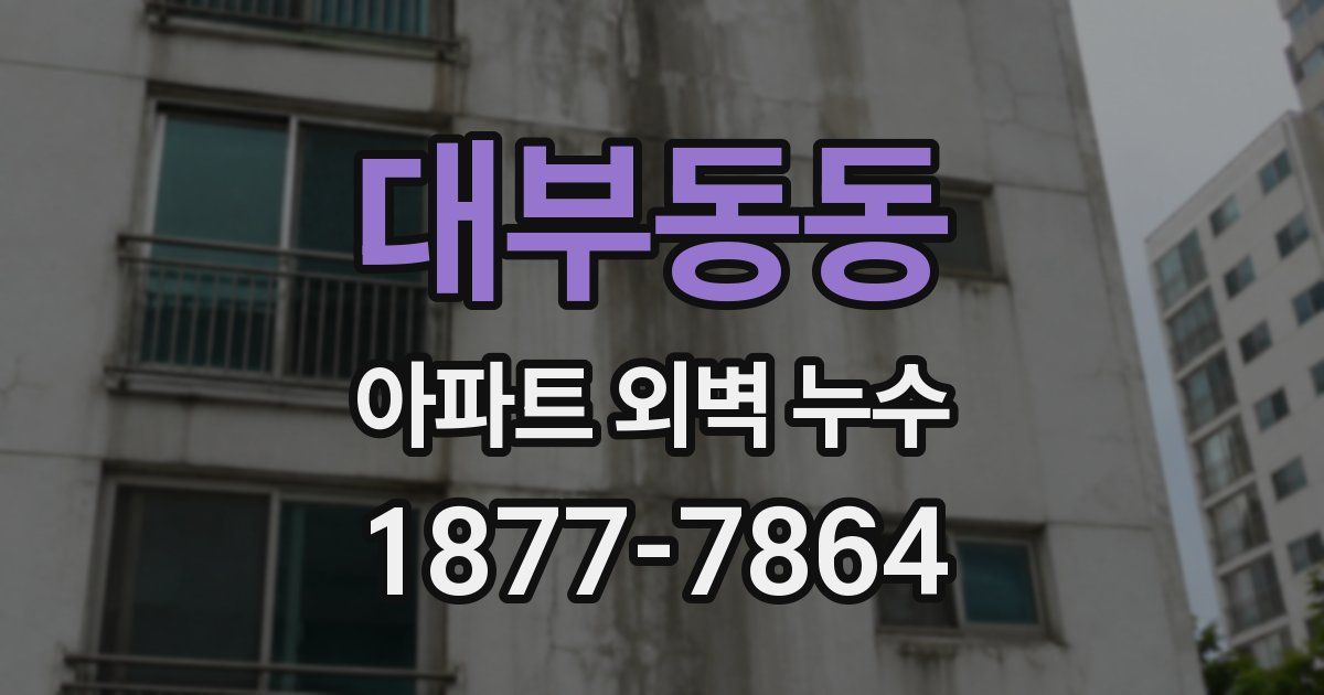대부동동 아파트 외벽 누수
