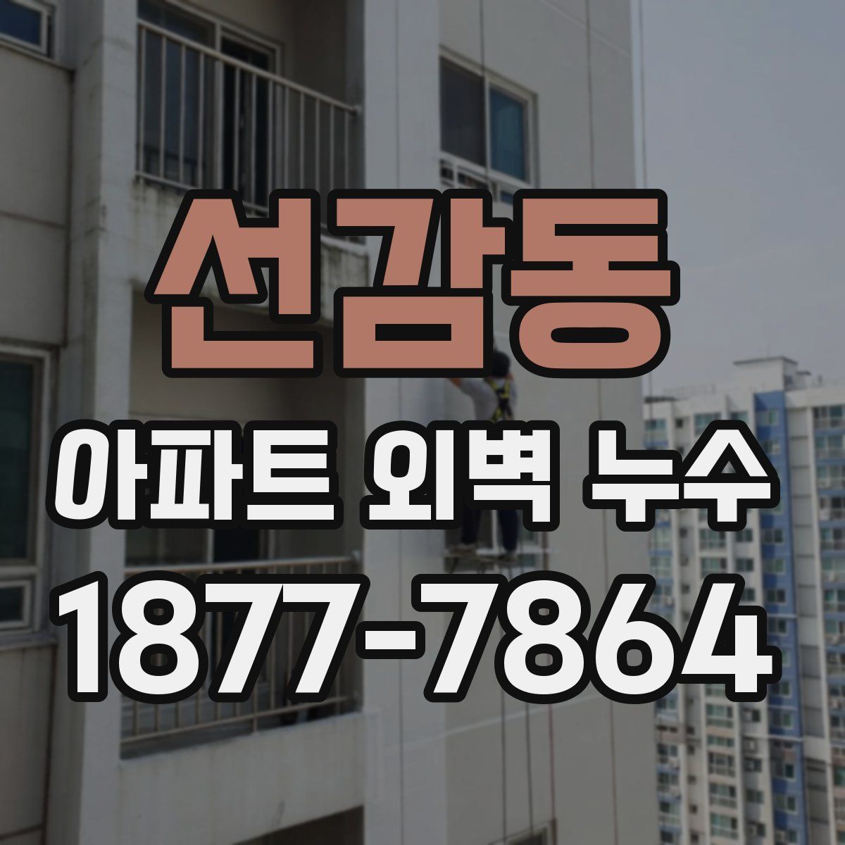 선감동 아파트 외벽 누수
