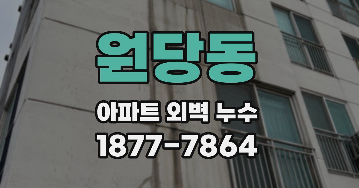 원당동 아파트 외벽 누수