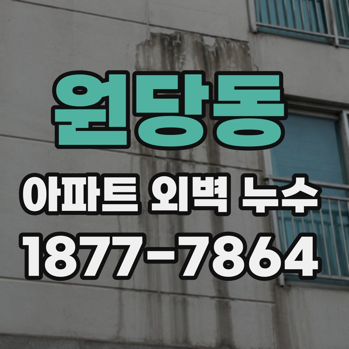 원당동 아파트 외벽 누수