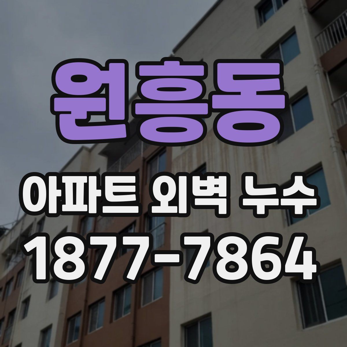 원흥동 아파트 외벽 누수 발생 시 보험 확인 포인트