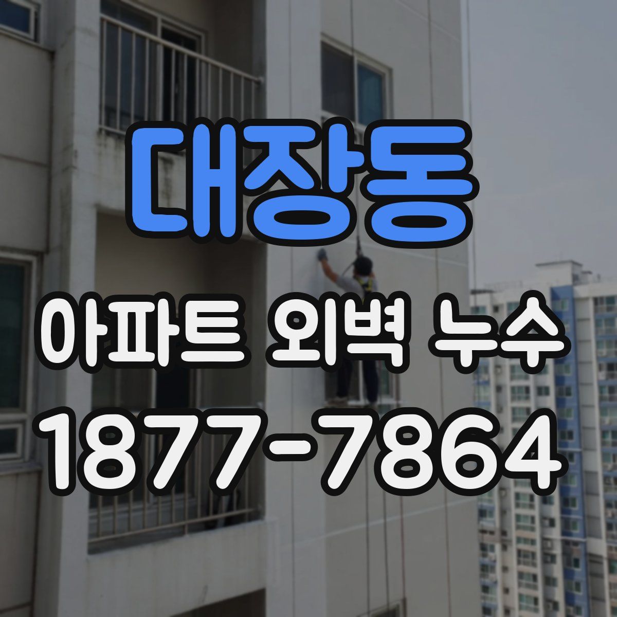 대장동 아파트 외벽 누수