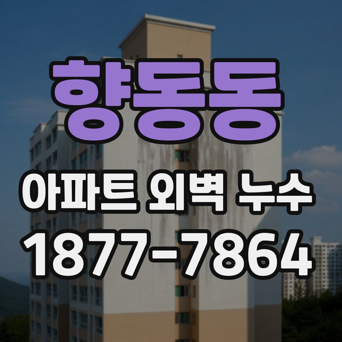 향동동 아파트 외벽 누수