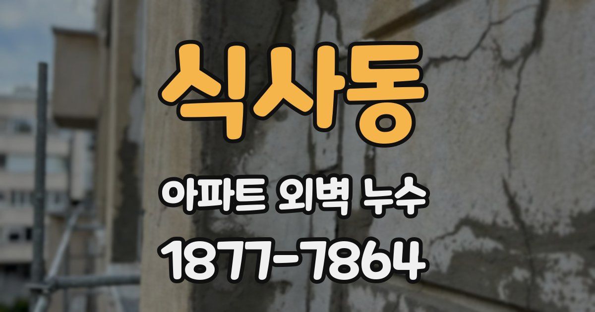 식사동 아파트 외벽 누수