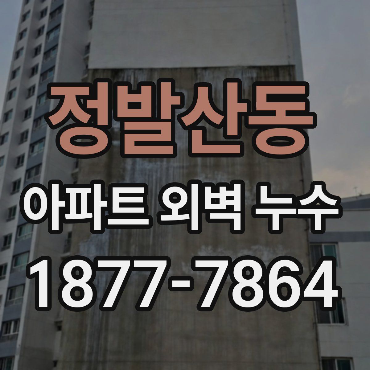 정발산동 아파트 외벽 누수