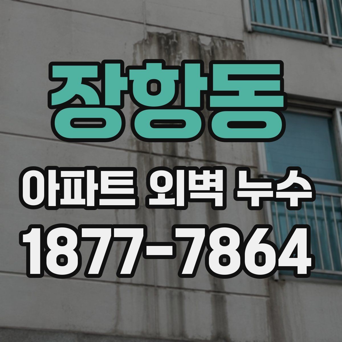장항동 아파트 외벽 누수 진단 의뢰 전 체크해야 할 사항