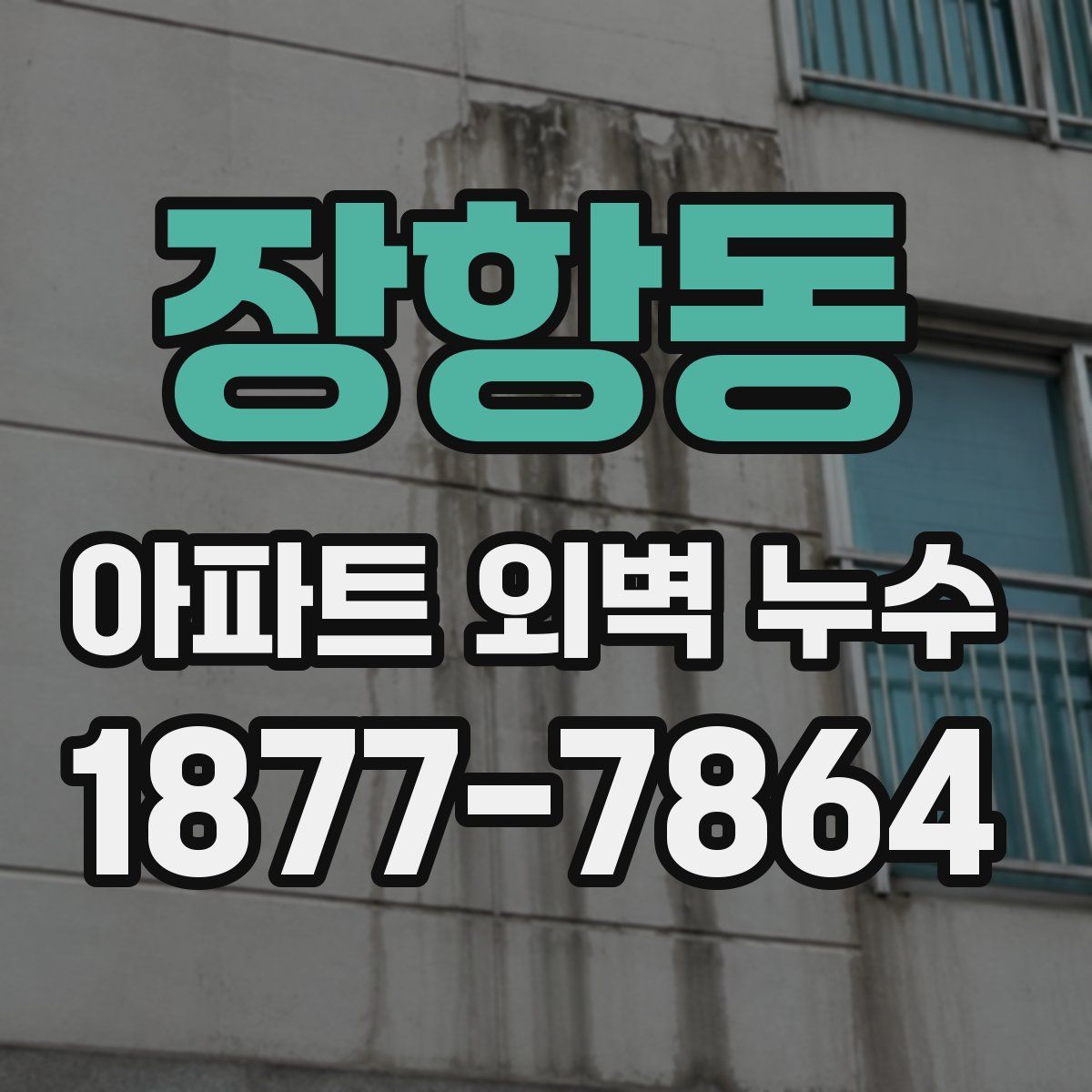 장항동 아파트 외벽 누수
