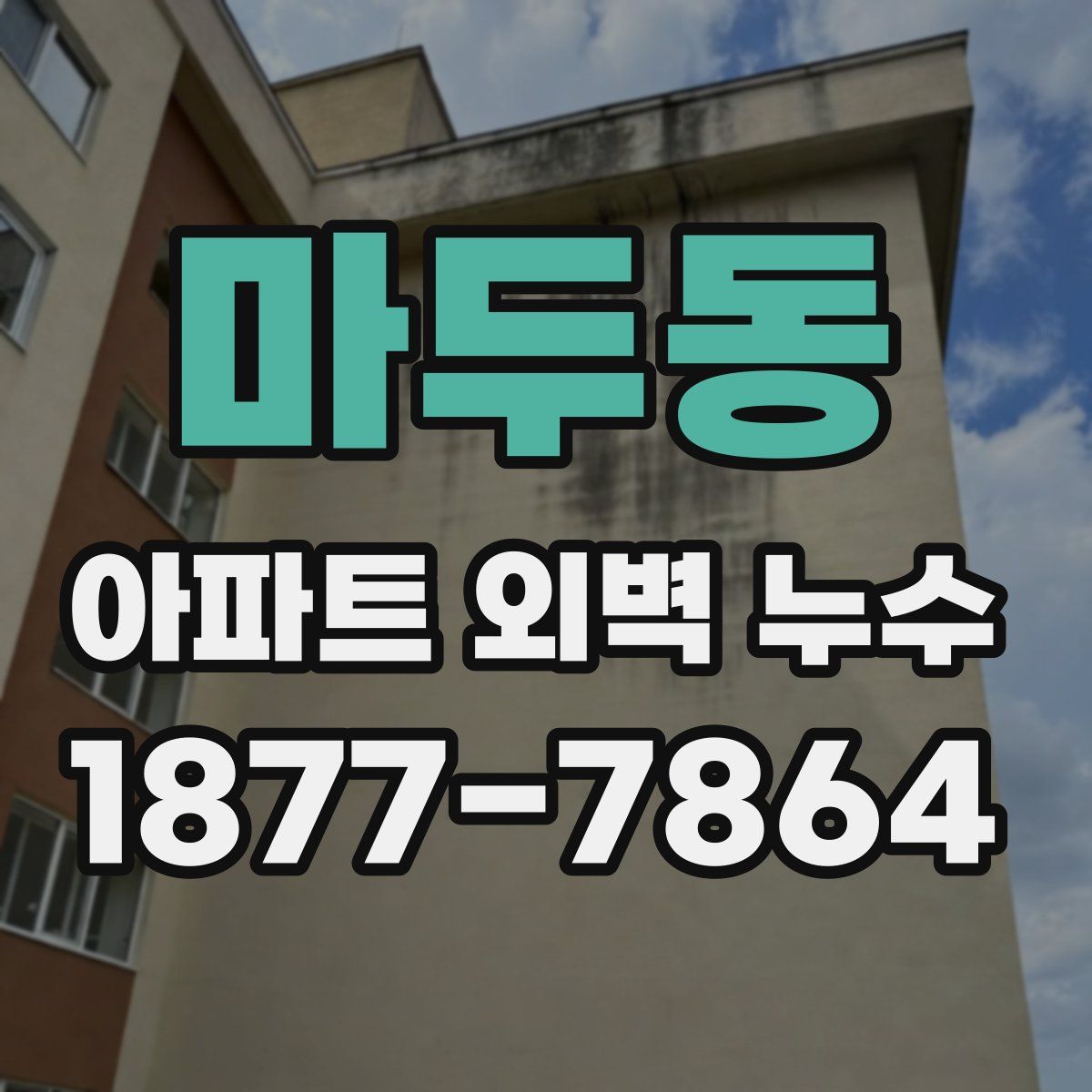 마두동 아파트 외벽 누수