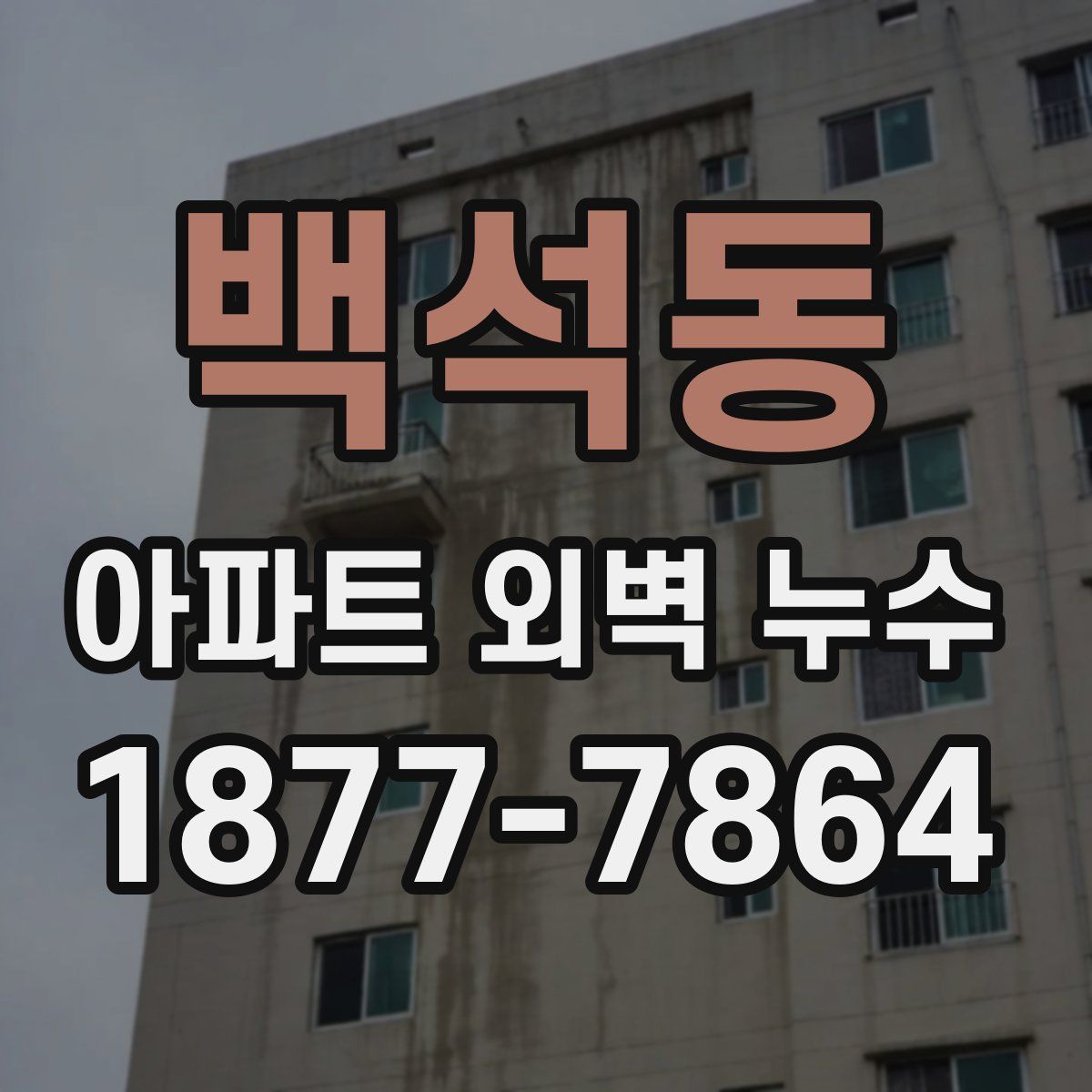 백석동 아파트 외벽 누수