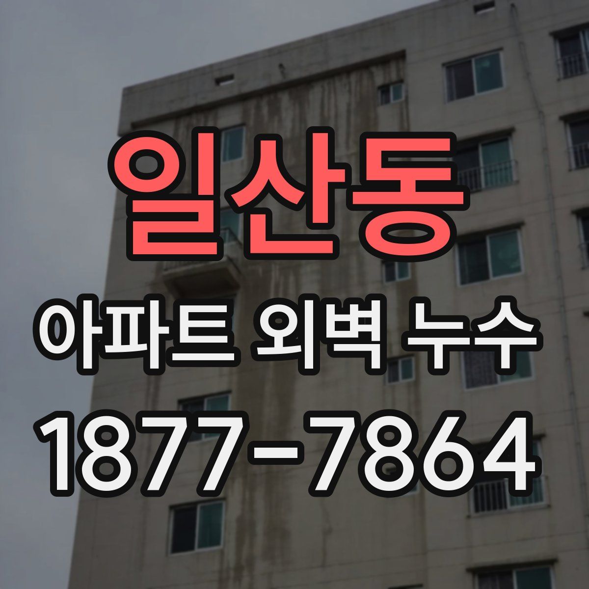일산동 아파트 외벽 누수