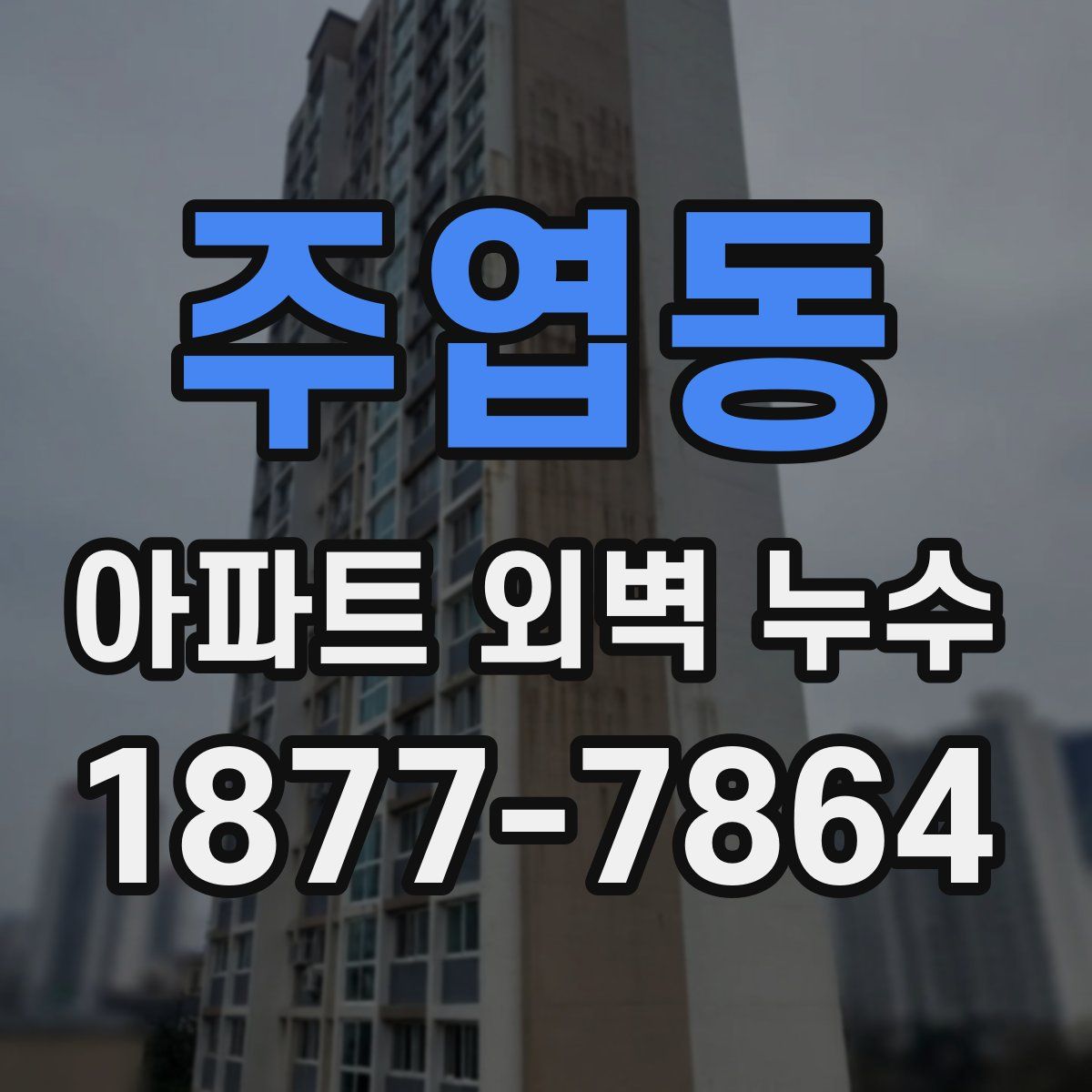 주엽동 아파트 외벽 누수