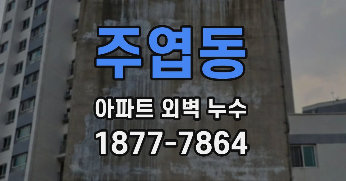 주엽동 아파트 외벽 누수