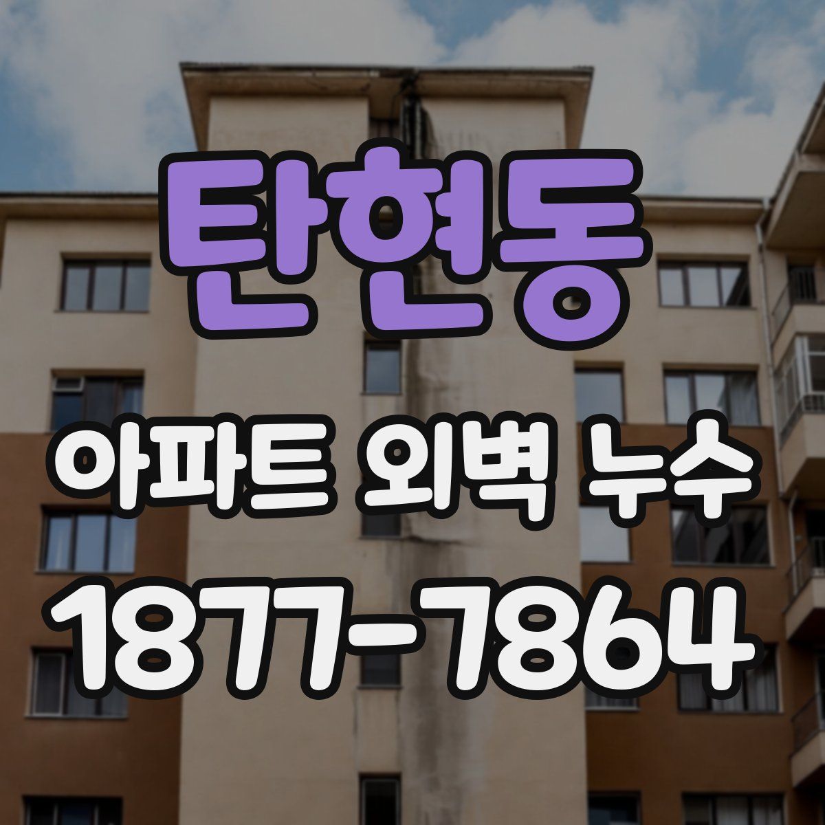 탄현동 아파트 외벽 누수