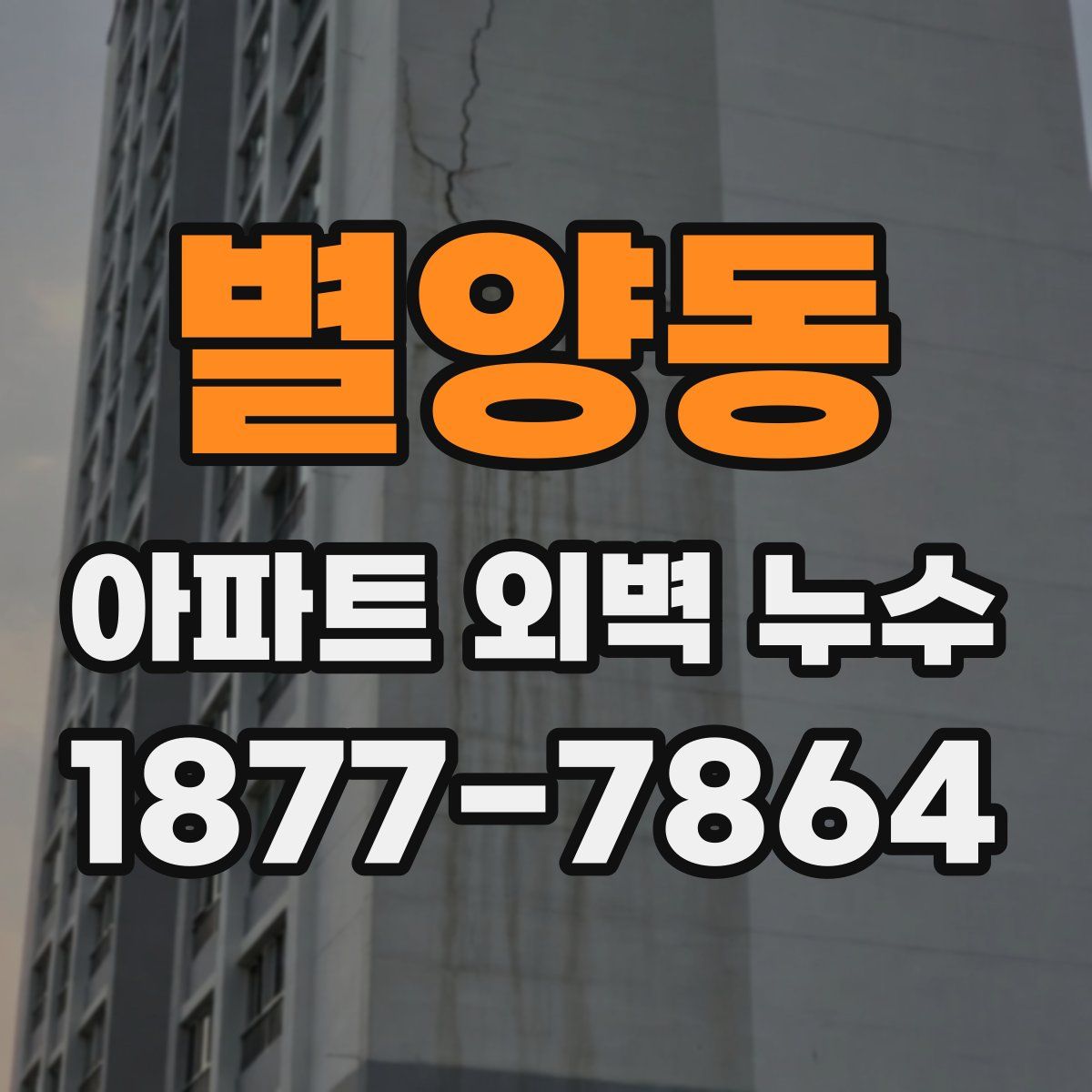 별양동 아파트 외벽 누수