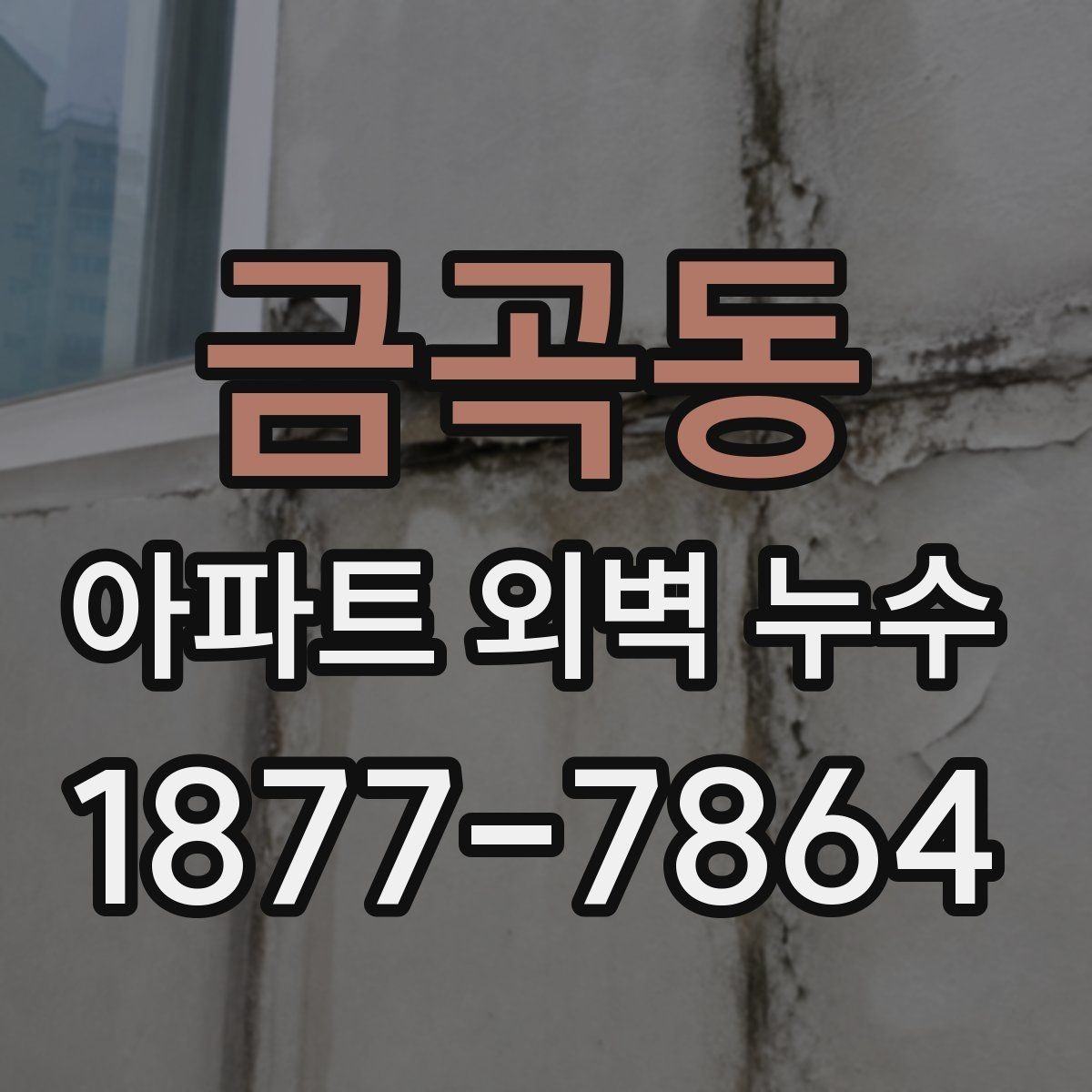 금곡동 아파트 외벽 누수 전문 진단이 필요한 경우