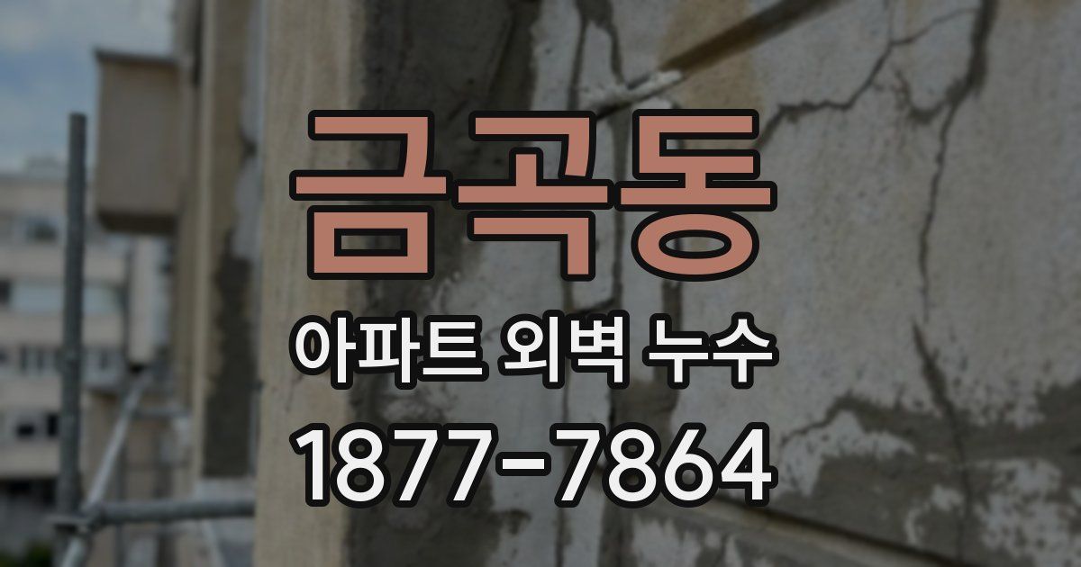 금곡동 아파트 외벽 누수