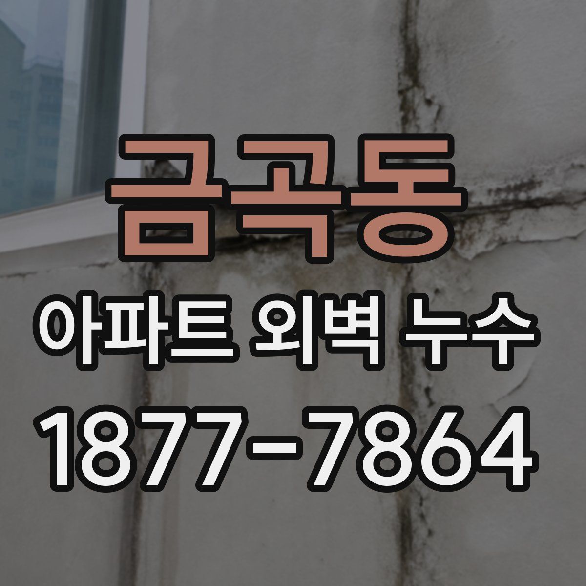 금곡동 아파트 외벽 누수