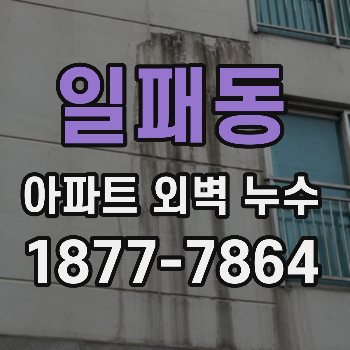일패동 아파트 외벽 누수