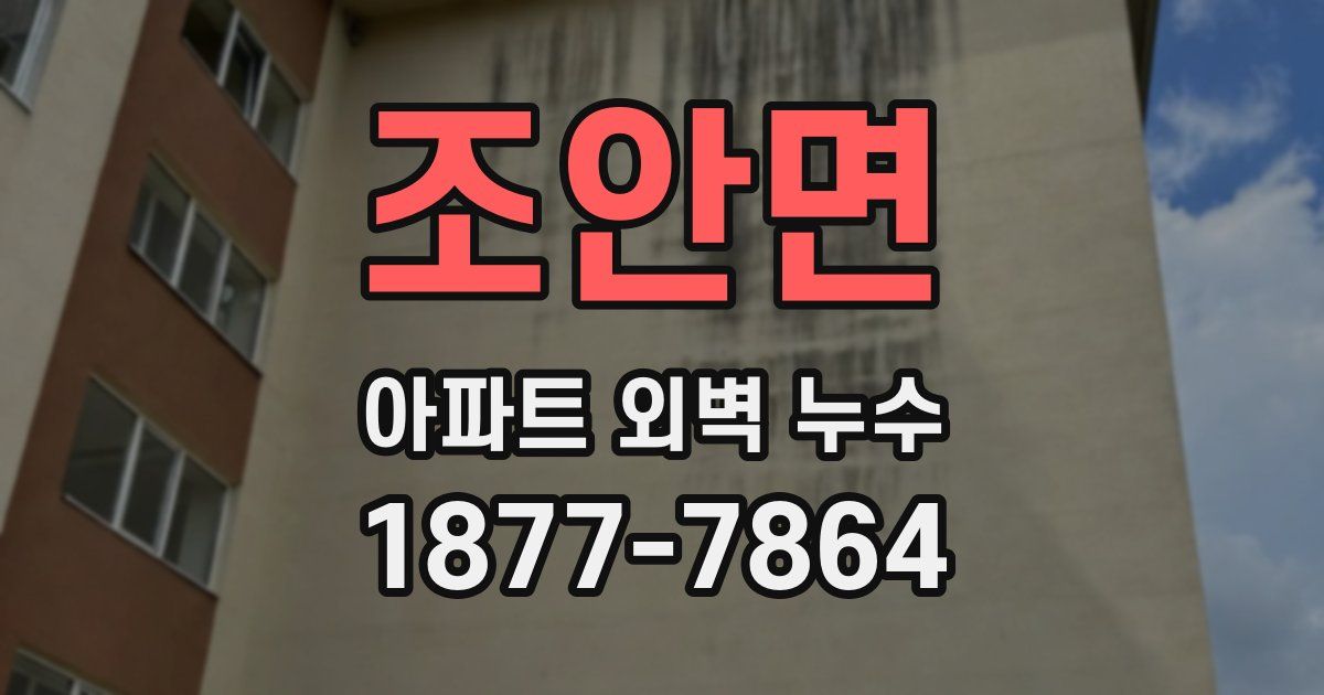 조안면 아파트 외벽 누수