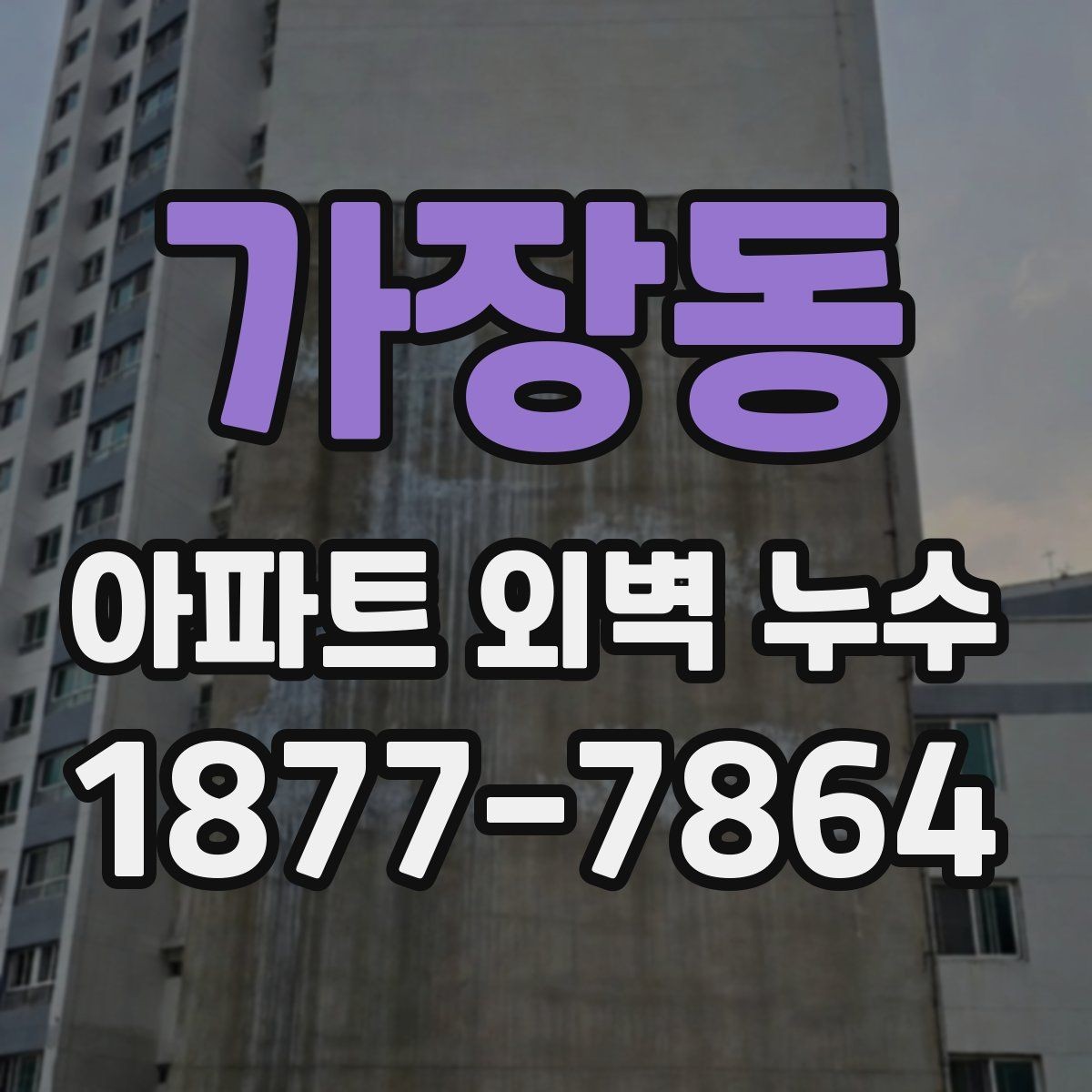 가장동 아파트 외벽 누수 보수 전 시공 범위 협의 방법