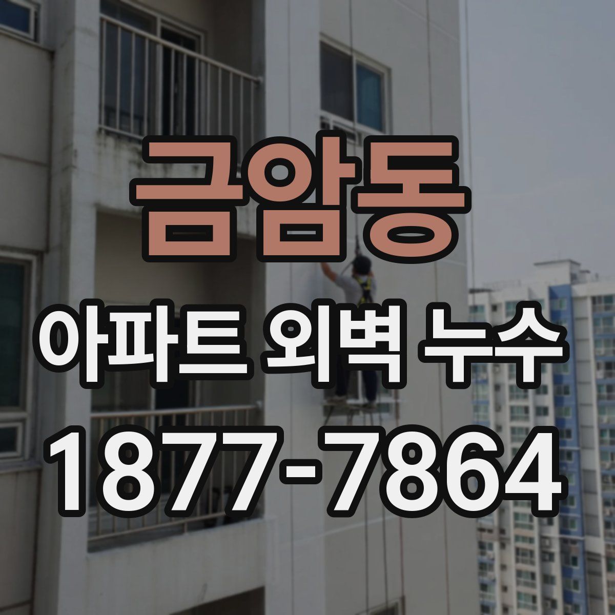 금암동 아파트 외벽 누수