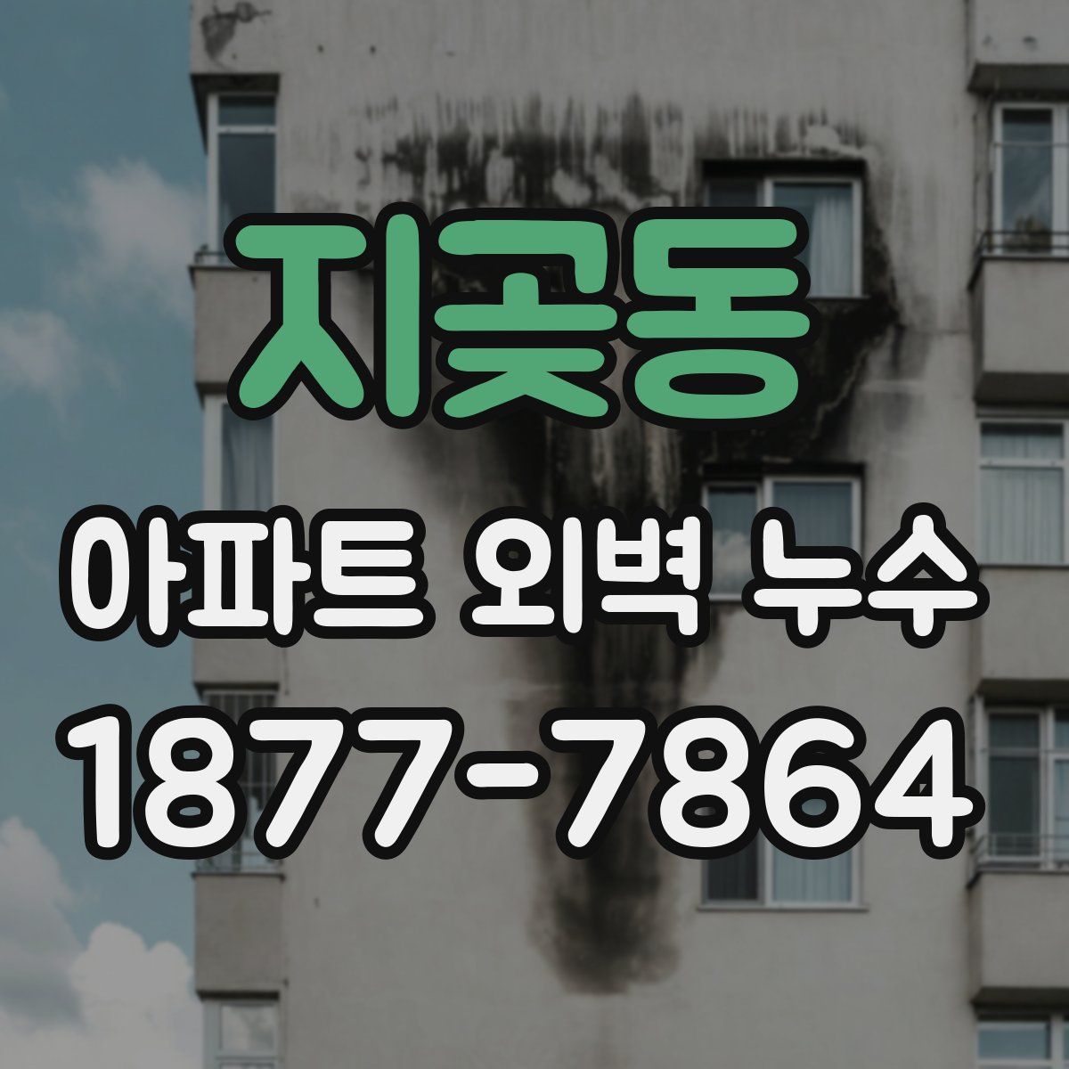 지곶동 아파트 외벽 누수