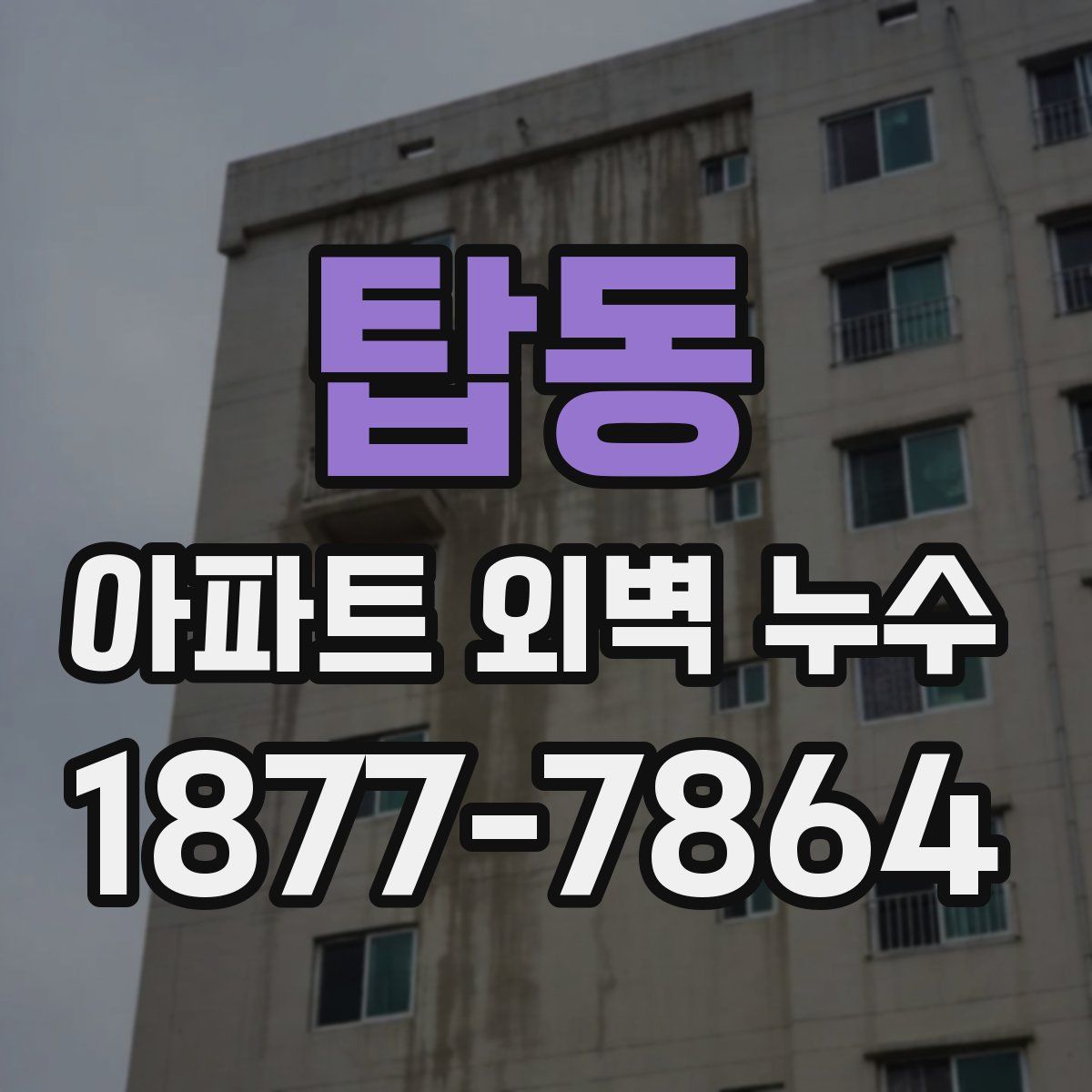 탑동 아파트 외벽 누수