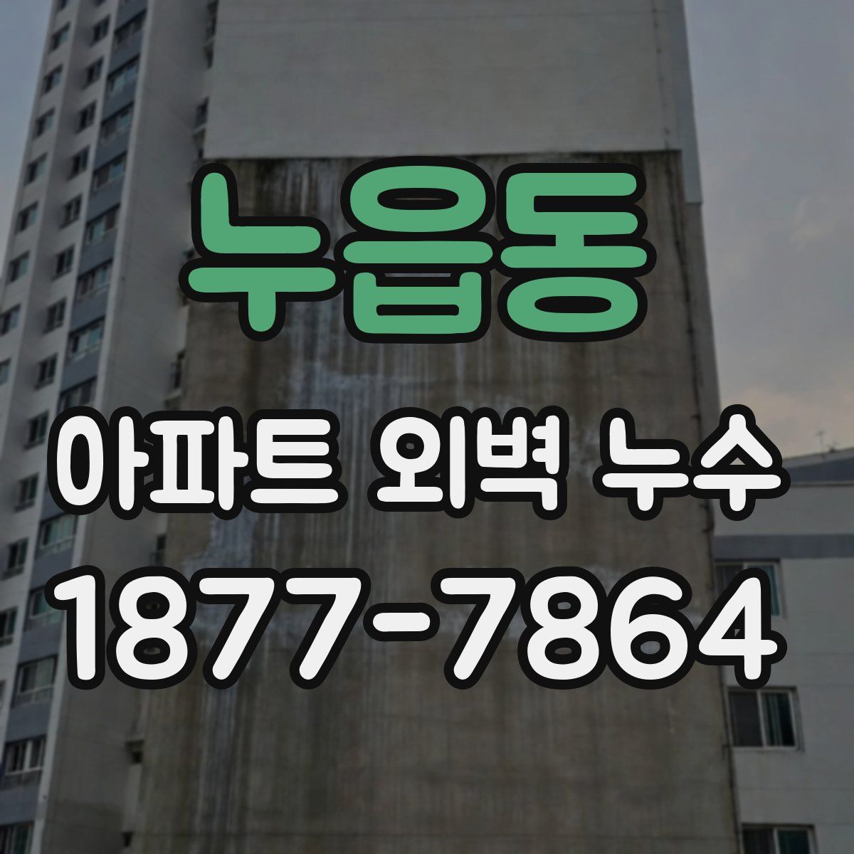 누읍동 아파트 외벽 누수