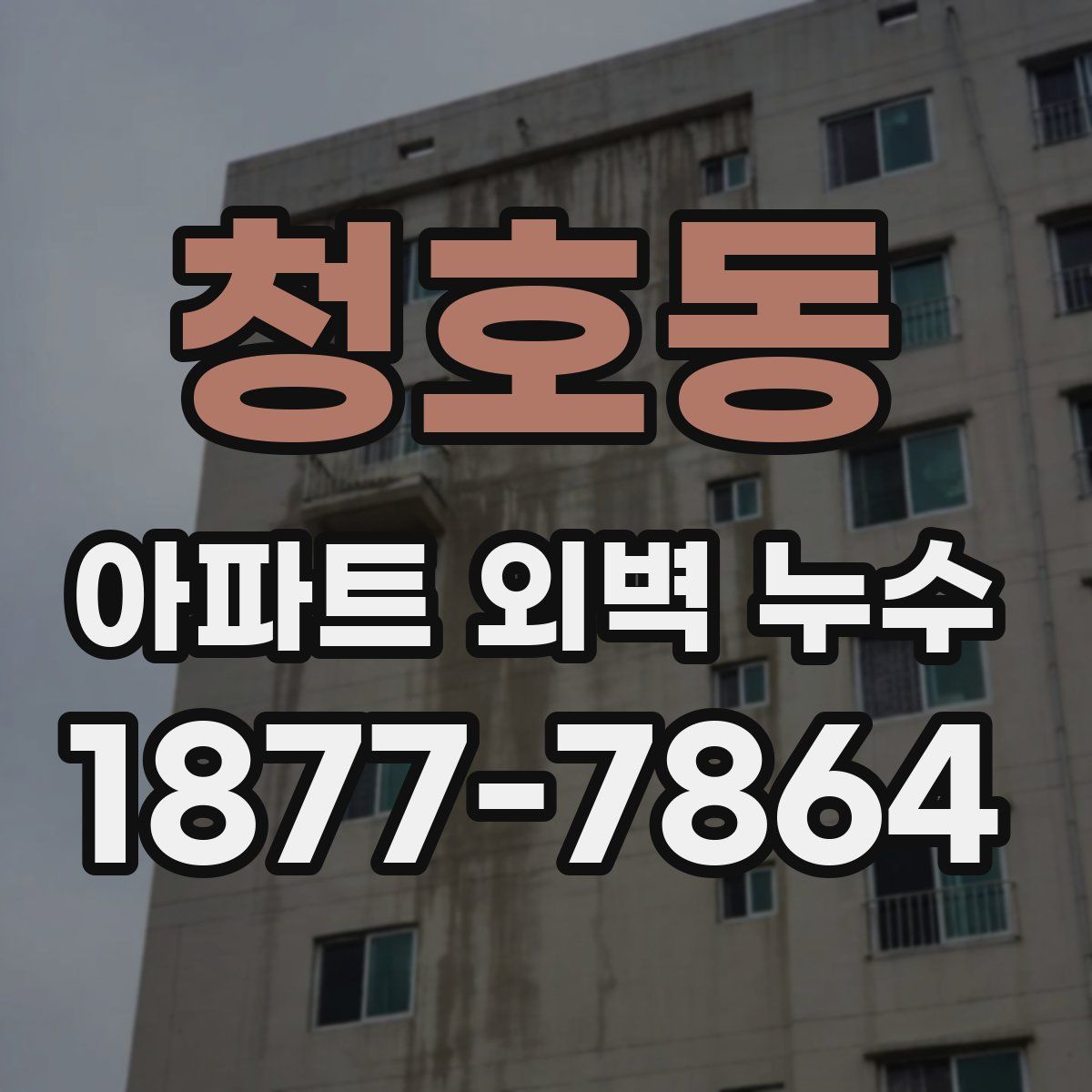 청호동 아파트 외벽 누수