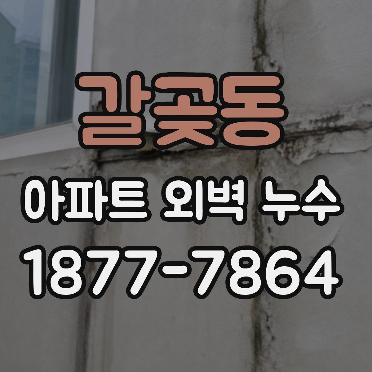 갈곶동 아파트 외벽 누수