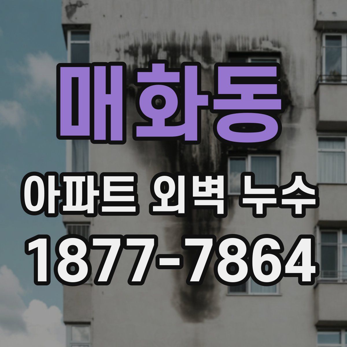 매화동 아파트 외벽 누수