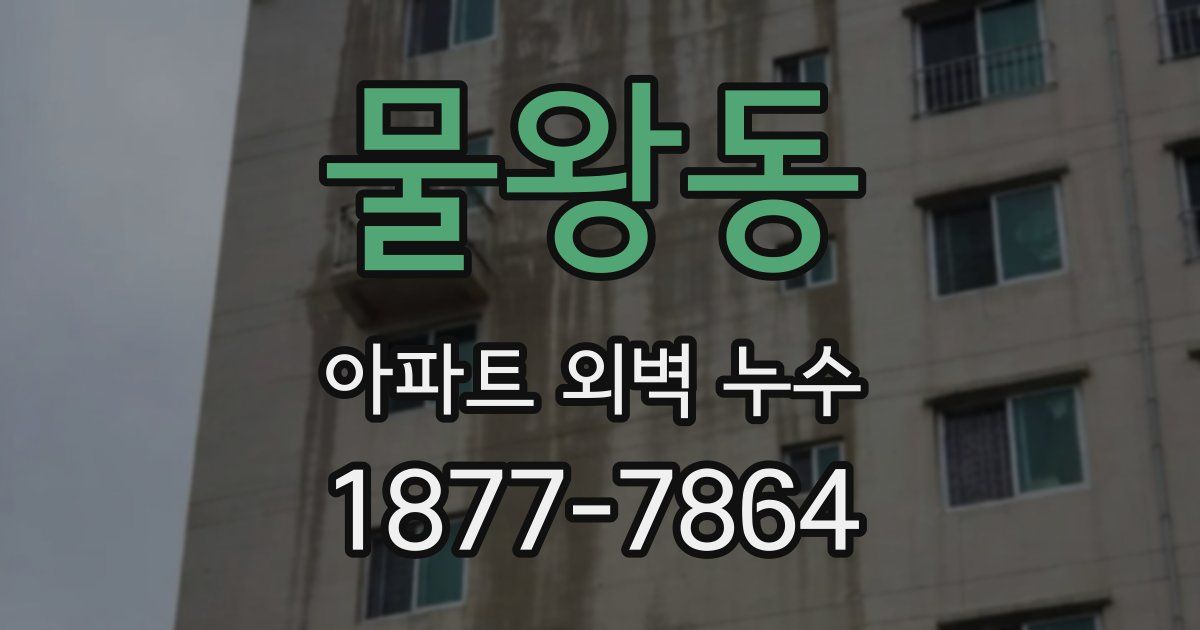 물왕동 아파트 외벽 누수